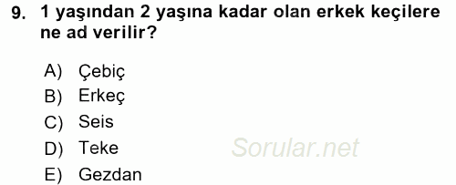 Hayvan Yetiştirme 2015 - 2016 Tek Ders Sınavı 9.Soru