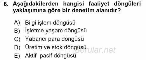 Muhasebe Denetimi 2016 - 2017 3 Ders Sınavı 6.Soru