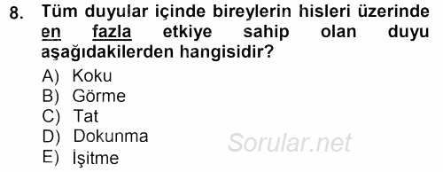 Mağaza Atmosferi 2012 - 2013 Dönem Sonu Sınavı 8.Soru