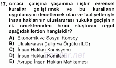 Temel İnsan Hakları Bilgisi 1 2012 - 2013 Dönem Sonu Sınavı 17.Soru