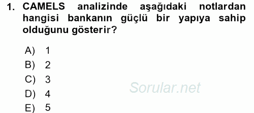 Bankaların Yönetimi Ve Denetimi 2017 - 2018 3 Ders Sınavı 1.Soru