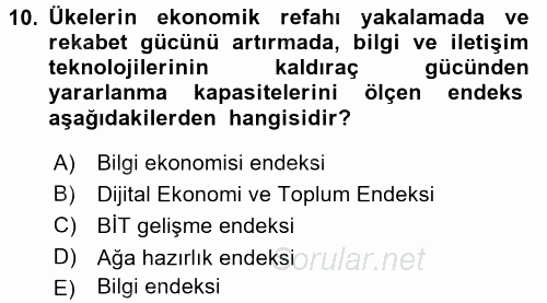 Bilgi Ekonomisi 2017 - 2018 Ara Sınavı 10.Soru