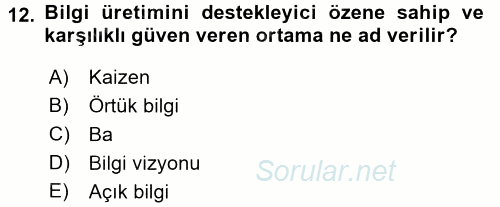 Bilgi Ekonomisi 2017 - 2018 Ara Sınavı 12.Soru
