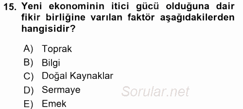 Bilgi Ekonomisi 2017 - 2018 Ara Sınavı 15.Soru