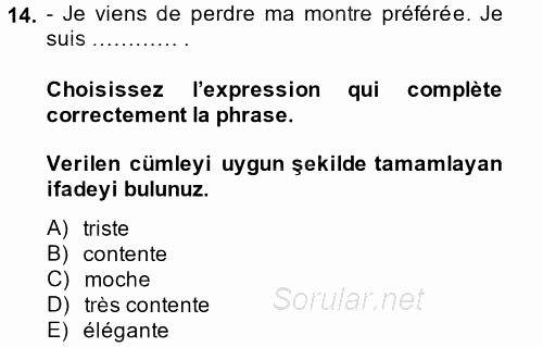 Fransızca 1 2014 - 2015 Tek Ders Sınavı 14.Soru