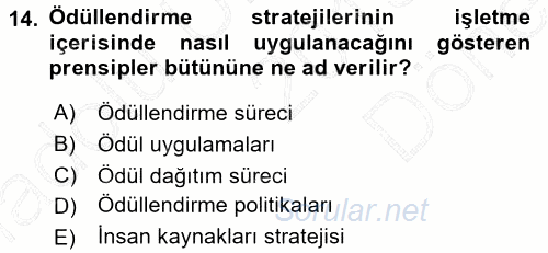 Ücret ve Ödül Yönetimi 2015 - 2016 Dönem Sonu Sınavı 14.Soru