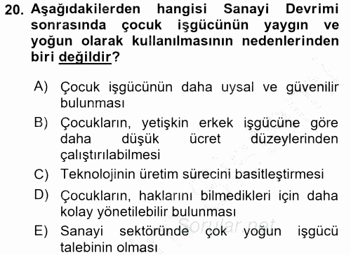 Sosyal Sorunlar 2016 - 2017 3 Ders Sınavı 20.Soru