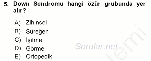 Sosyal Sorunlar 2016 - 2017 3 Ders Sınavı 5.Soru