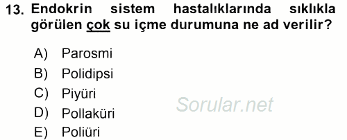 Temel Sağlık Hizmetleri 2015 - 2016 Tek Ders Sınavı 13.Soru