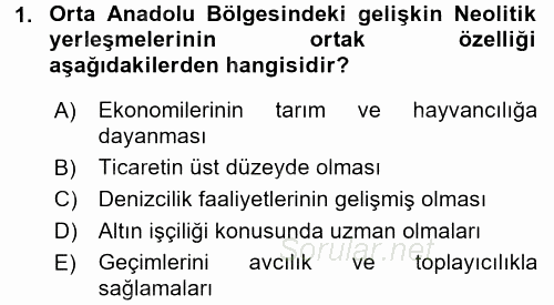 Eski Anadolu Tarihi 2016 - 2017 Ara Sınavı 1.Soru