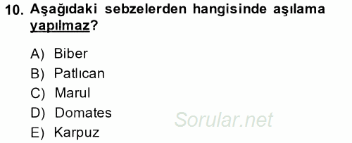 Örtü Altı Üretim Sistemleri 2014 - 2015 Dönem Sonu Sınavı 10.Soru