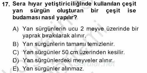 Örtü Altı Üretim Sistemleri 2014 - 2015 Dönem Sonu Sınavı 17.Soru
