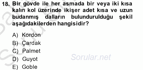 Örtü Altı Üretim Sistemleri 2014 - 2015 Dönem Sonu Sınavı 18.Soru