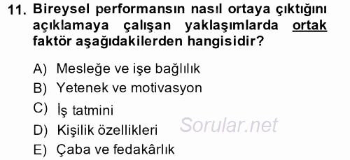 Performans Yönetimi 2014 - 2015 Dönem Sonu Sınavı 11.Soru