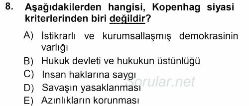 Avrupa Birliği 2013 - 2014 Tek Ders Sınavı 8.Soru