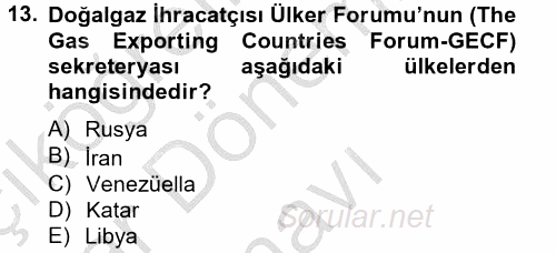 Orta Doğuda Siyaset 2012 - 2013 Dönem Sonu Sınavı 13.Soru