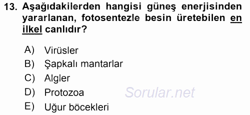 Toprak Bilgisi ve Bitki Besleme 2017 - 2018 3 Ders Sınavı 13.Soru