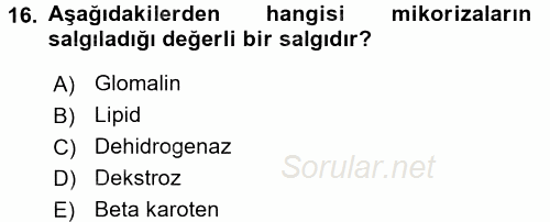 Toprak Bilgisi ve Bitki Besleme 2017 - 2018 3 Ders Sınavı 16.Soru