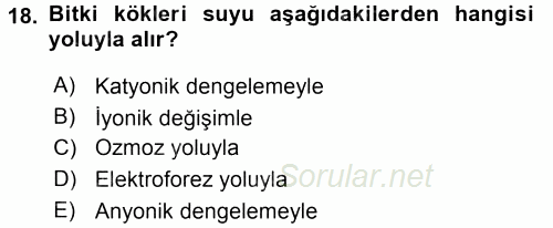 Toprak Bilgisi ve Bitki Besleme 2017 - 2018 3 Ders Sınavı 18.Soru