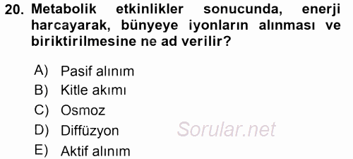 Toprak Bilgisi ve Bitki Besleme 2017 - 2018 3 Ders Sınavı 20.Soru