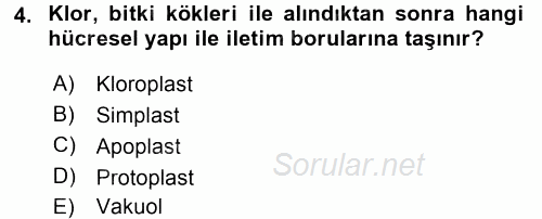 Toprak Bilgisi ve Bitki Besleme 2017 - 2018 3 Ders Sınavı 4.Soru