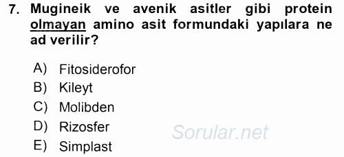 Toprak Bilgisi ve Bitki Besleme 2017 - 2018 3 Ders Sınavı 7.Soru