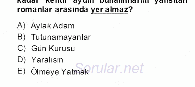 Çağdaş Türk Romanı 2012 - 2013 Dönem Sonu Sınavı 2.Soru