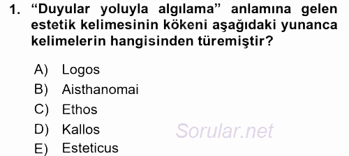 Estetik ve Sanat Felsefesi 2016 - 2017 Ara Sınavı 1.Soru