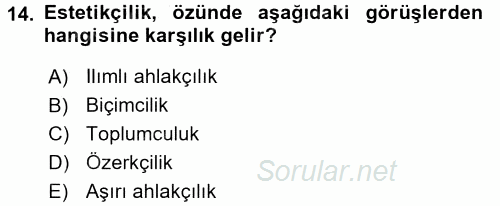 Estetik ve Sanat Felsefesi 2016 - 2017 Ara Sınavı 14.Soru