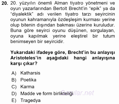 Estetik ve Sanat Felsefesi 2016 - 2017 Ara Sınavı 20.Soru