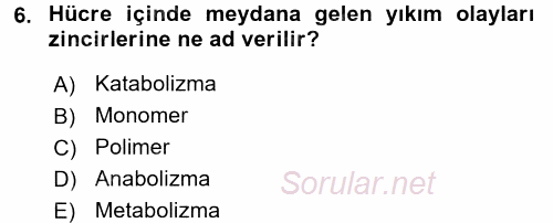 Genel Biyoloji 1 2017 - 2018 Ara Sınavı 6.Soru