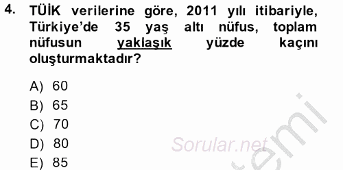 Dış Ticarete Giriş 2013 - 2014 Dönem Sonu Sınavı 4.Soru