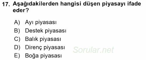 Menkul Kıymet Yatırımları 2015 - 2016 Tek Ders Sınavı 17.Soru