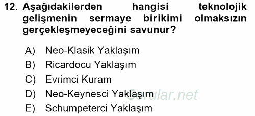 Ekonominin Güncel Sorunları 2017 - 2018 Dönem Sonu Sınavı 12.Soru