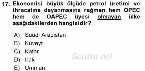 Orta Doğuda Siyaset 2017 - 2018 3 Ders Sınavı 17.Soru