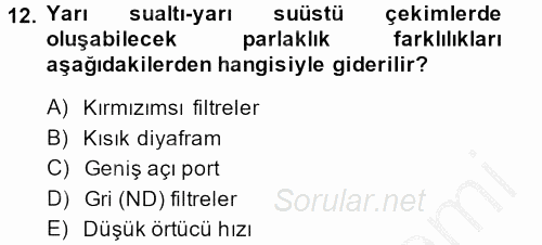 Videonun Kullanım Alanları 2013 - 2014 Dönem Sonu Sınavı 12.Soru