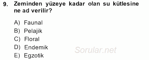 Videonun Kullanım Alanları 2013 - 2014 Dönem Sonu Sınavı 9.Soru