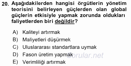 Yönetim ve Organizasyon 1 2016 - 2017 Ara Sınavı 20.Soru