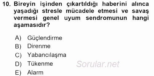 Davranış Bilimleri 2 2015 - 2016 Tek Ders Sınavı 10.Soru