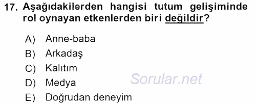 Davranış Bilimleri 2 2015 - 2016 Tek Ders Sınavı 17.Soru