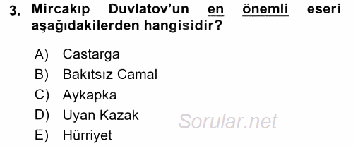 Çağdaş Türk Edebiyatları 2 2017 - 2018 Dönem Sonu Sınavı 3.Soru