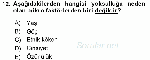Gelir Dağılımı ve Yoksulluk 2015 - 2016 Dönem Sonu Sınavı 12.Soru