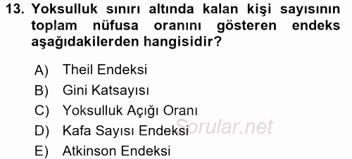 Gelir Dağılımı ve Yoksulluk 2015 - 2016 Dönem Sonu Sınavı 13.Soru