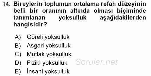 Gelir Dağılımı ve Yoksulluk 2015 - 2016 Dönem Sonu Sınavı 14.Soru