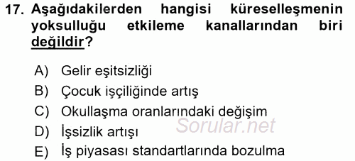 Gelir Dağılımı ve Yoksulluk 2015 - 2016 Dönem Sonu Sınavı 17.Soru