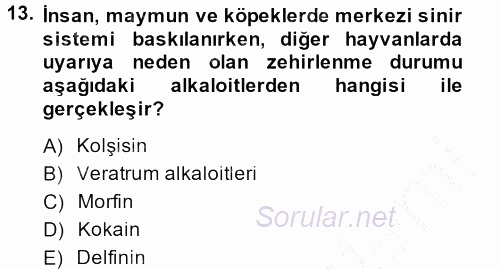Temel Veteriner Farmakoloji ve Toksikoloji 2013 - 2014 Dönem Sonu Sınavı 13.Soru