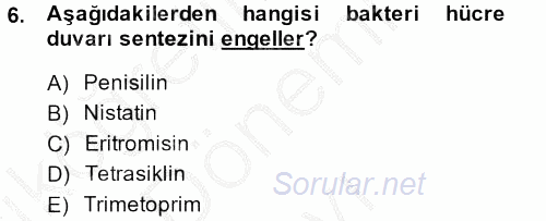 Temel Veteriner Farmakoloji ve Toksikoloji 2013 - 2014 Dönem Sonu Sınavı 6.Soru