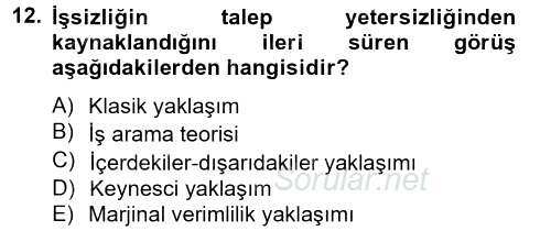 Çalışma Ekonomisi 2 2012 - 2013 Dönem Sonu Sınavı 12.Soru