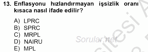Çalışma Ekonomisi 2 2012 - 2013 Dönem Sonu Sınavı 13.Soru