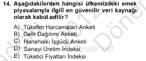Çalışma Ekonomisi 2 2012 - 2013 Dönem Sonu Sınavı 14.Soru
